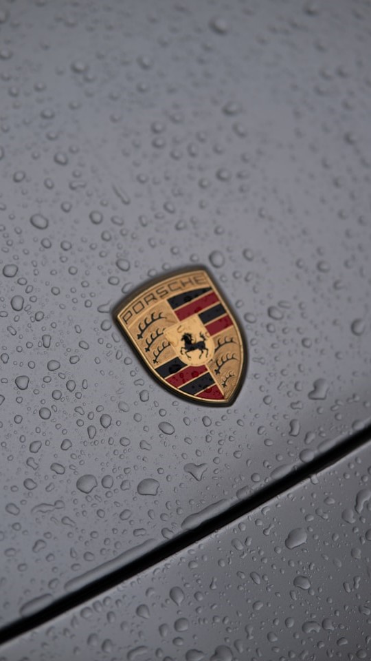 Porsche logo