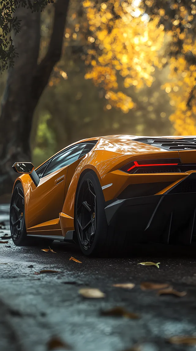 Lamborghini