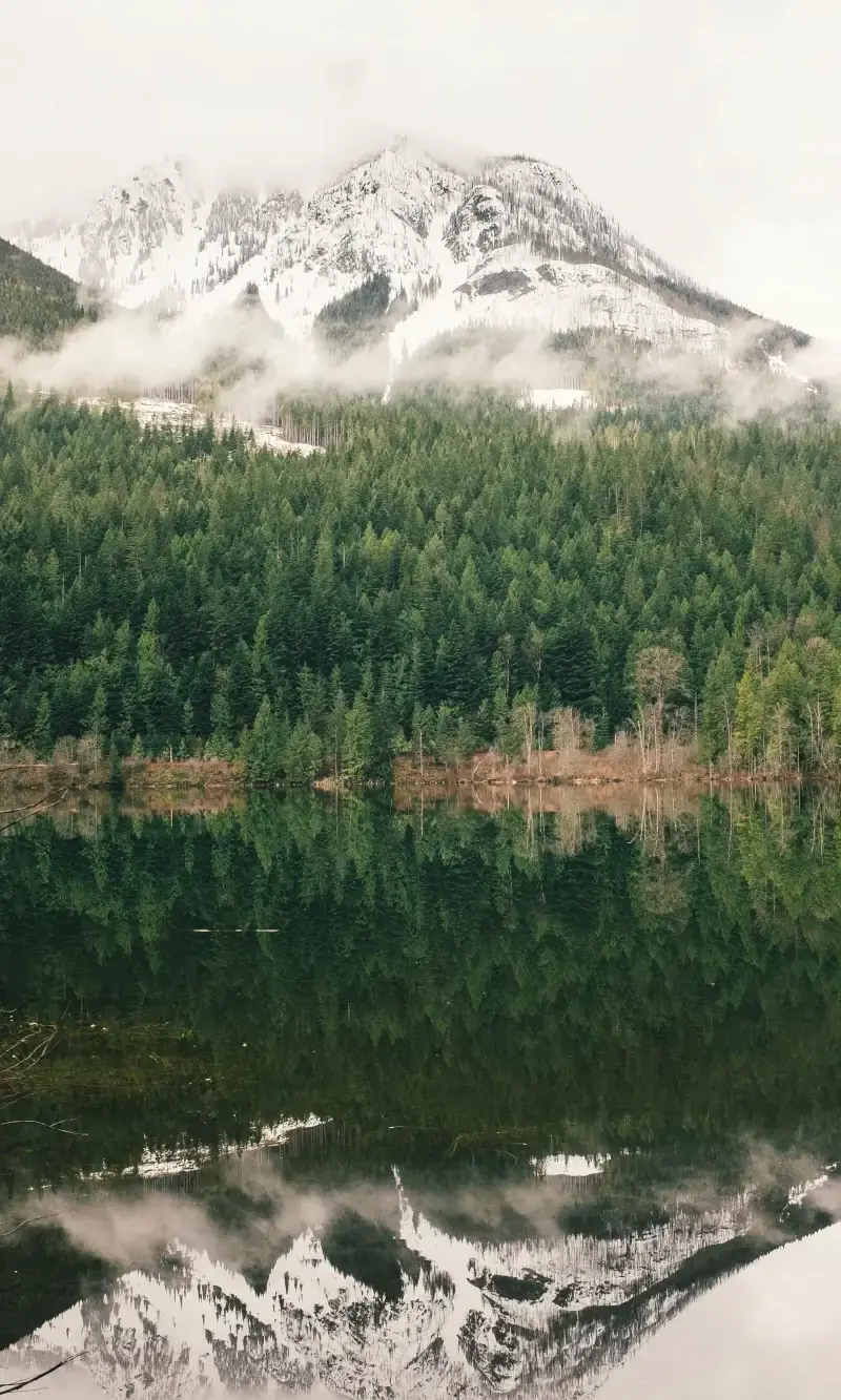 Lake, Mountain, Forest