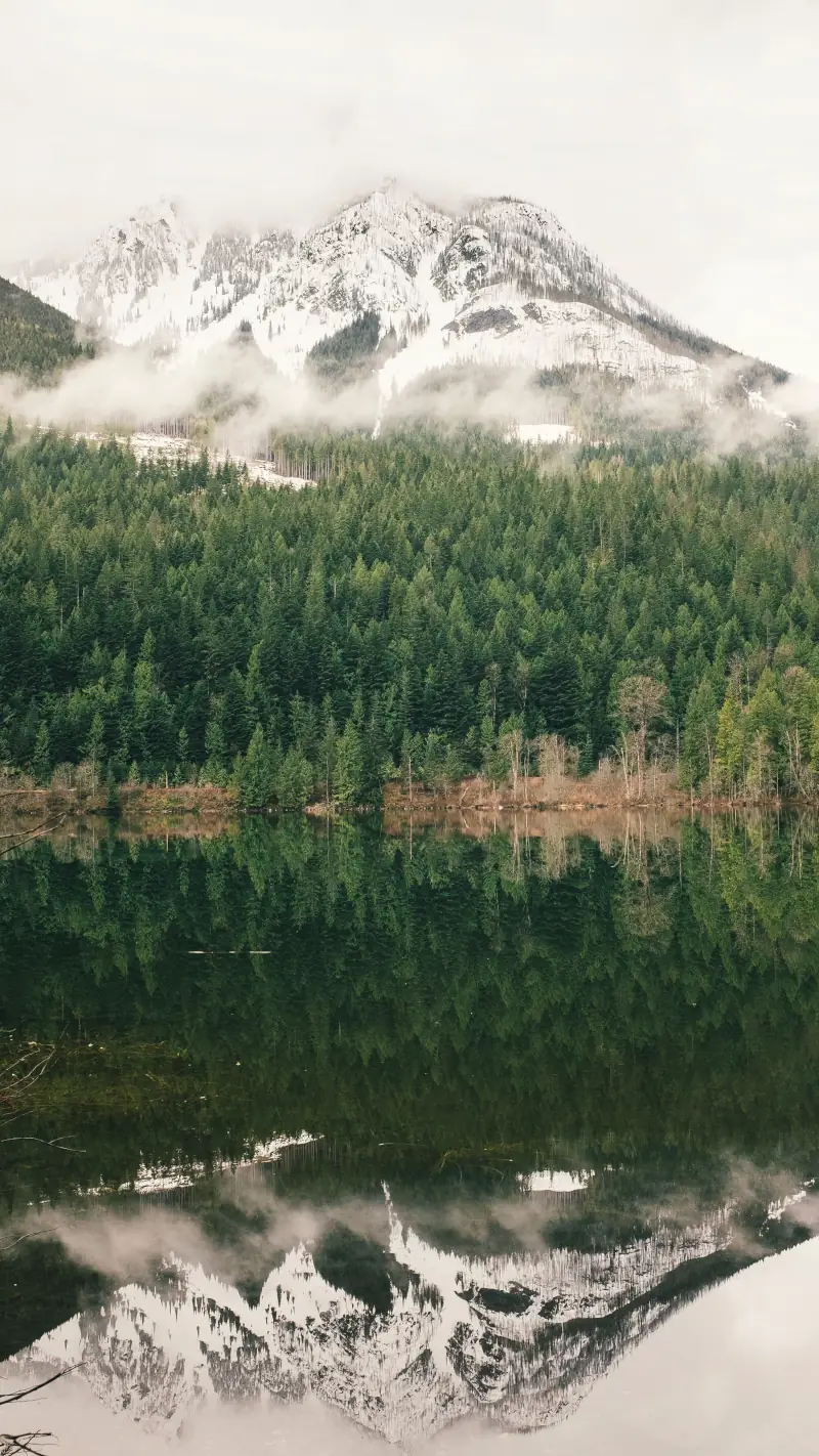 Lac, Montagne, Foret