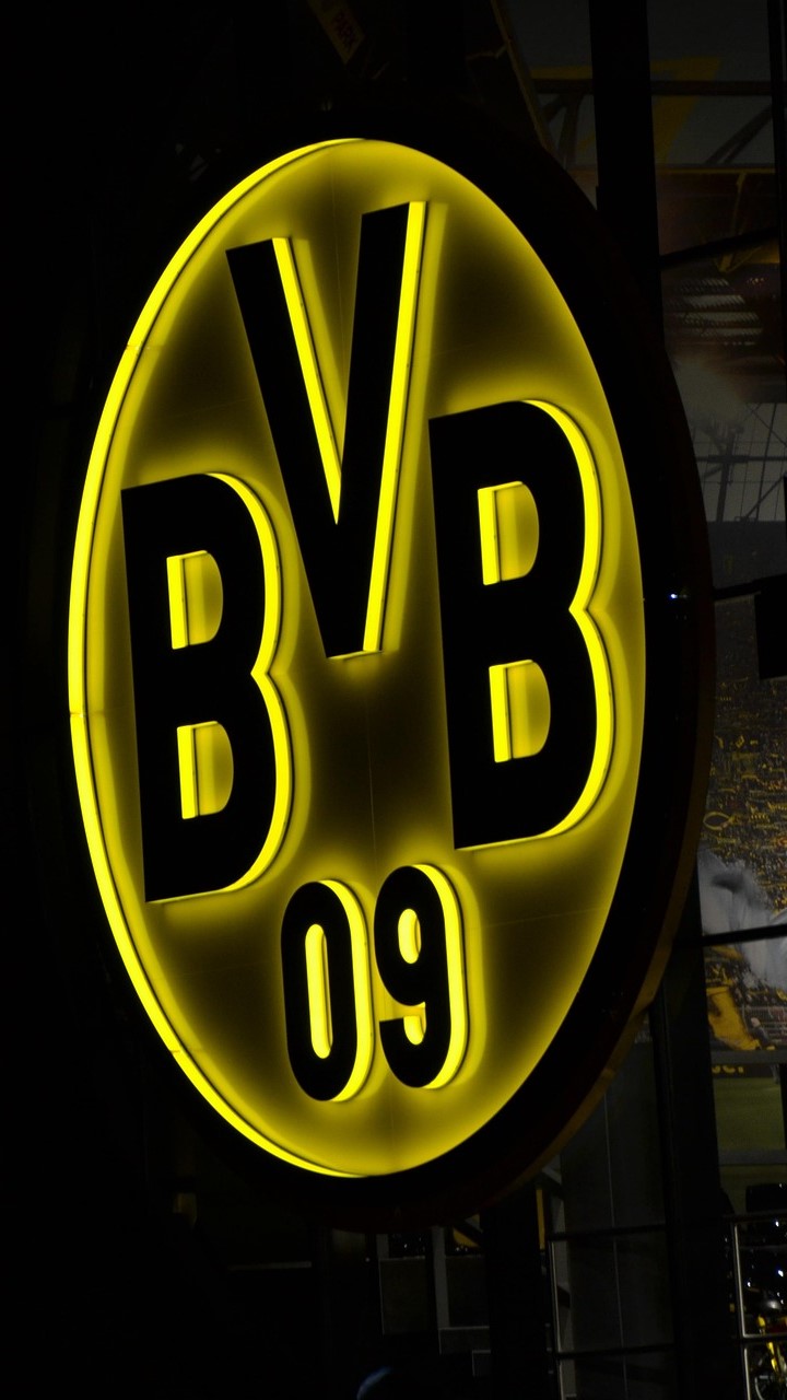 Logo BVB