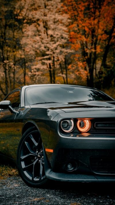 Dodge