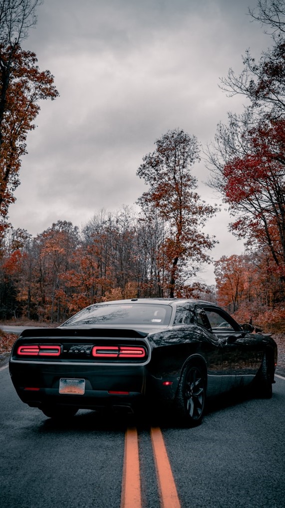 Dodge