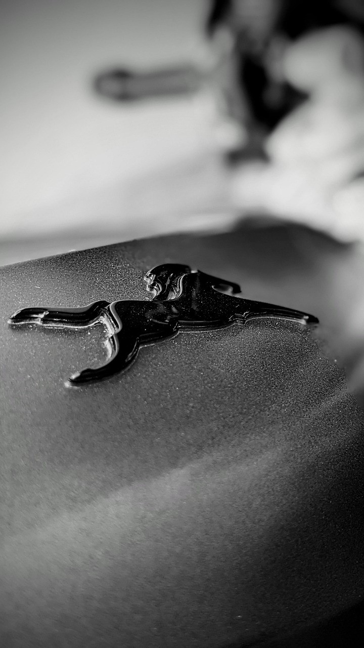 cheval logo