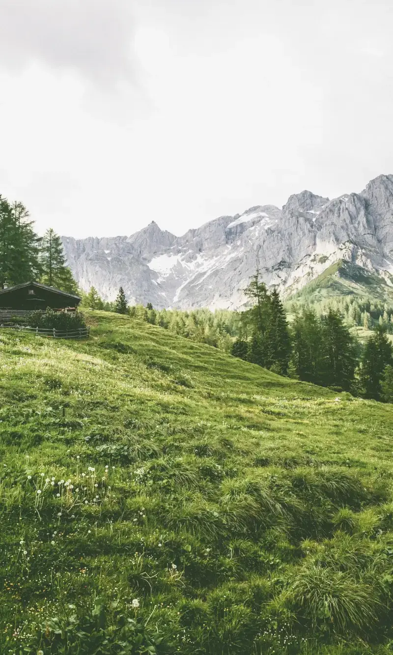 Field, Mountain