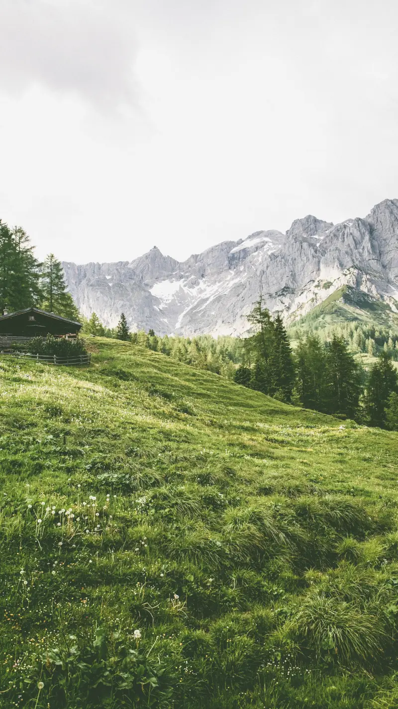 Field, Mountain