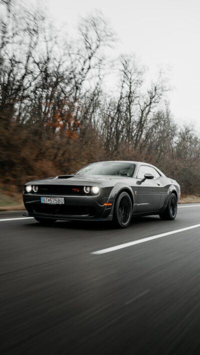 Dodge