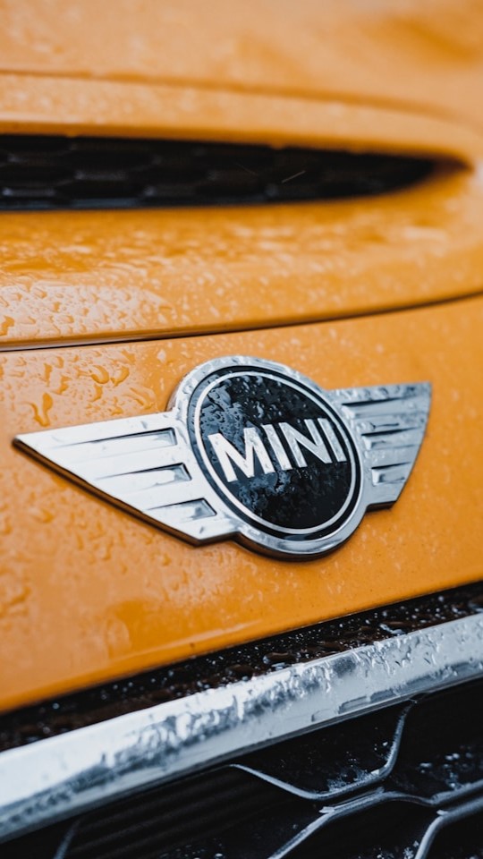 Logo Mini