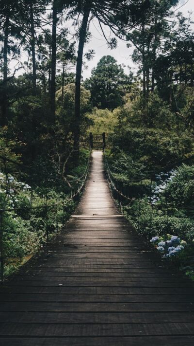 Foret