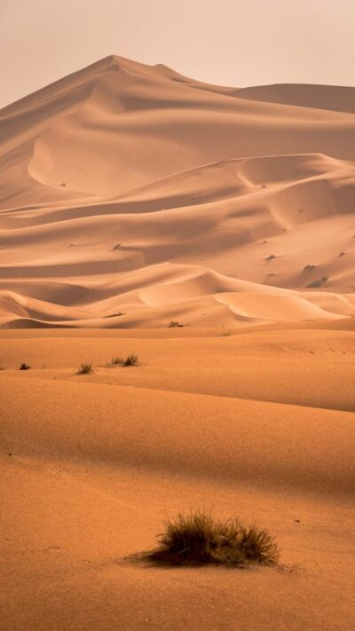 Desert