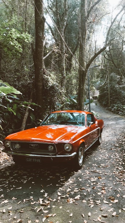 Ford mustang