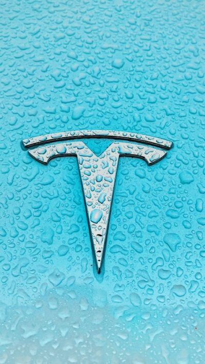 Logo Tesla