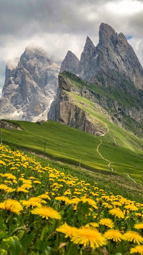 Mountain