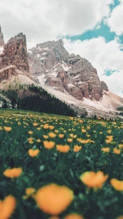 Mountain, Flowers wallpaper HD 4K for phone