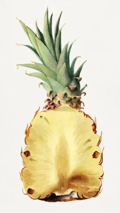 Ananas
