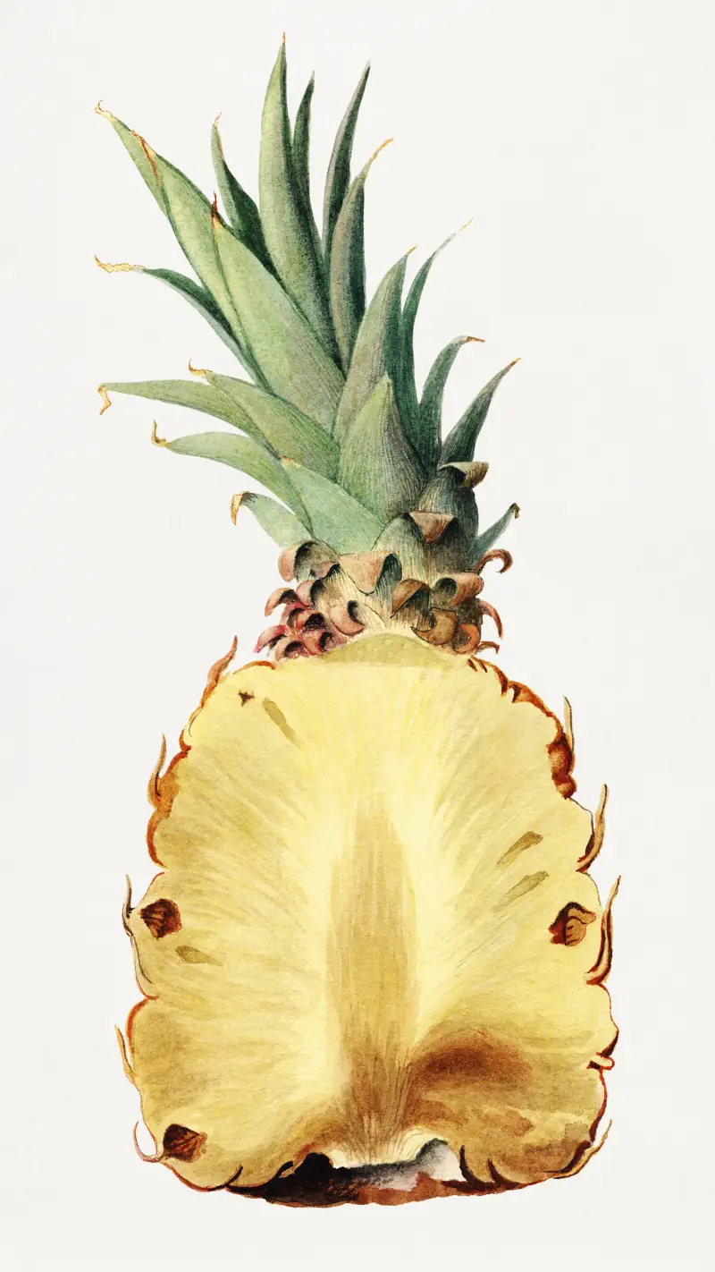Pineapple