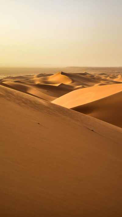 Desert