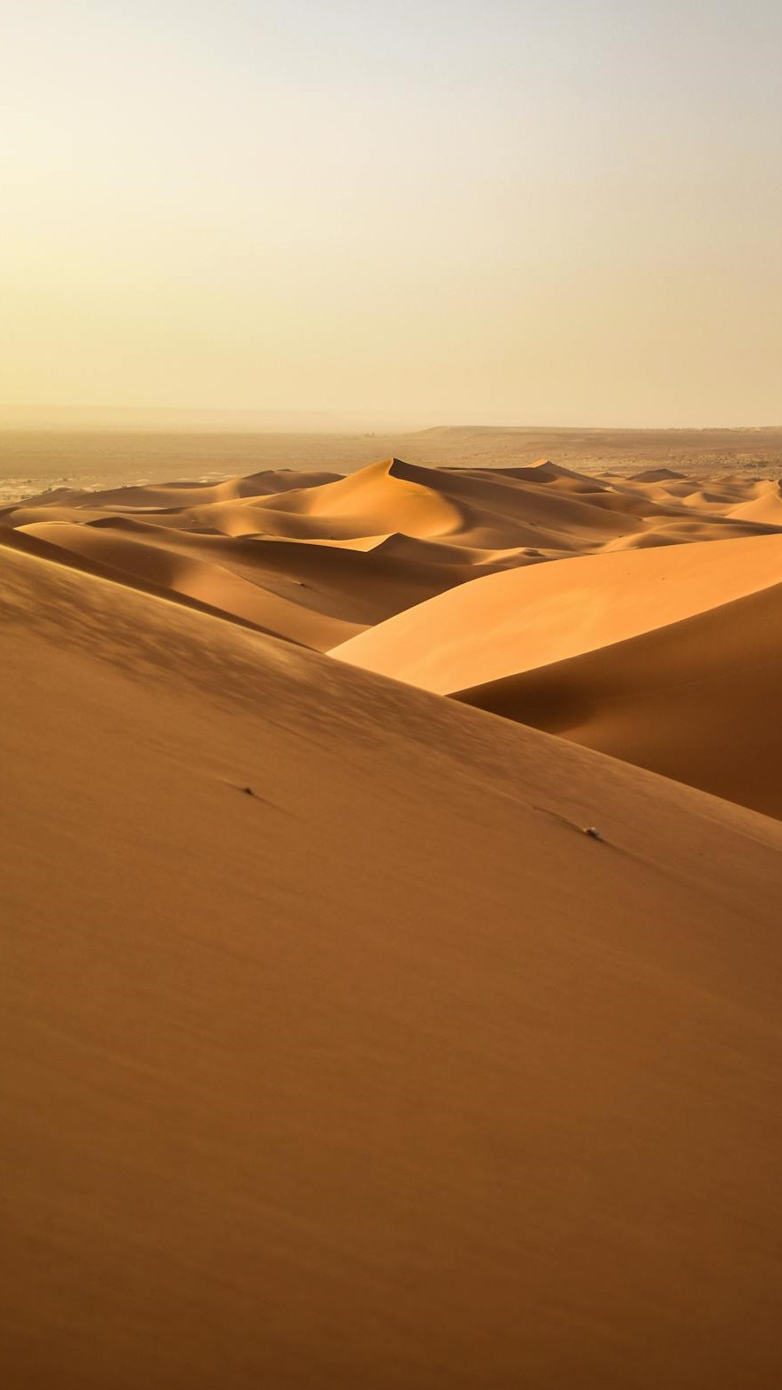 Desert