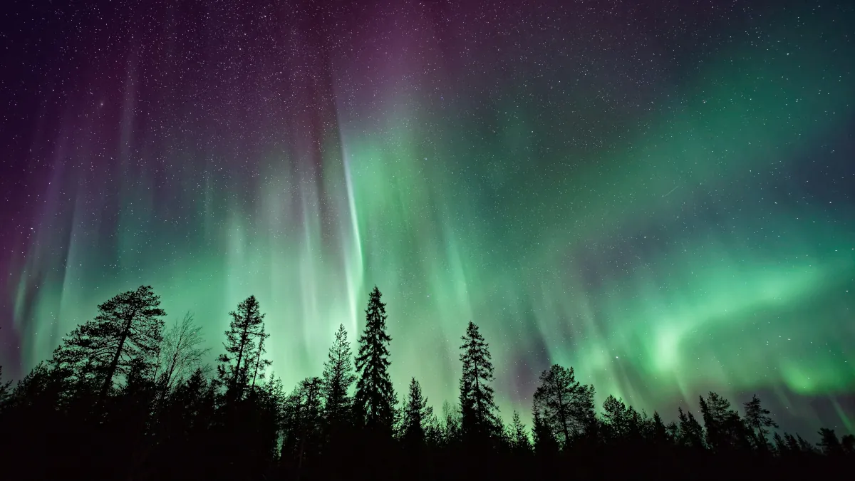 Northern Lights
