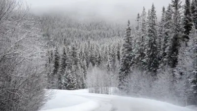 Neige
