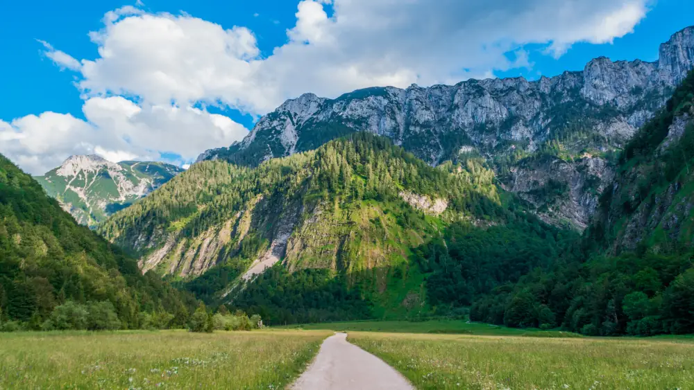 Mountain