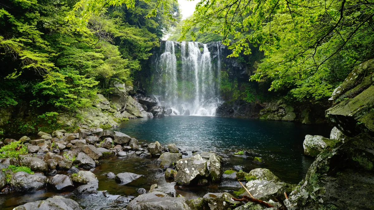 Cascade wallpaper