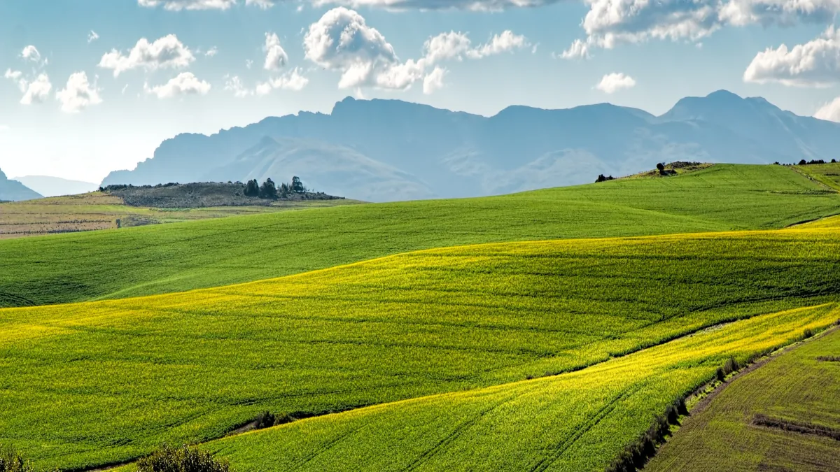 Paysage