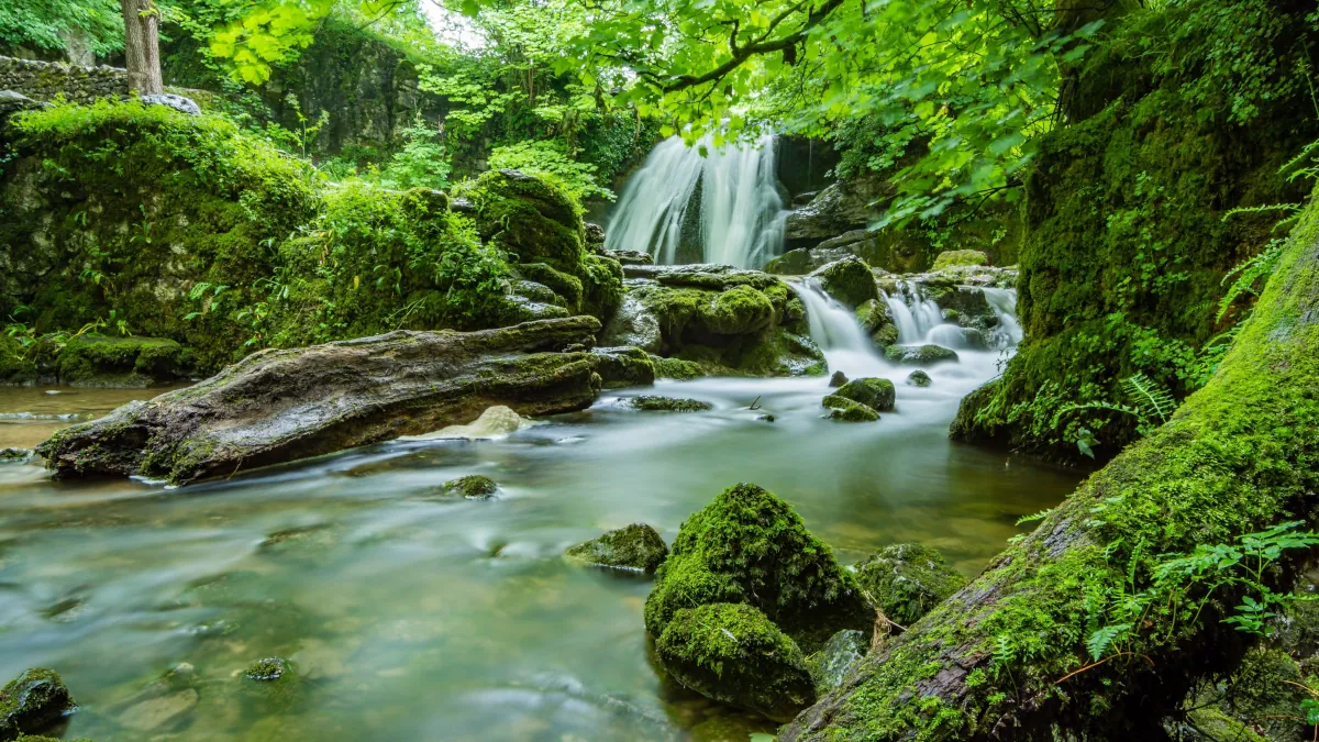 River wallpaper