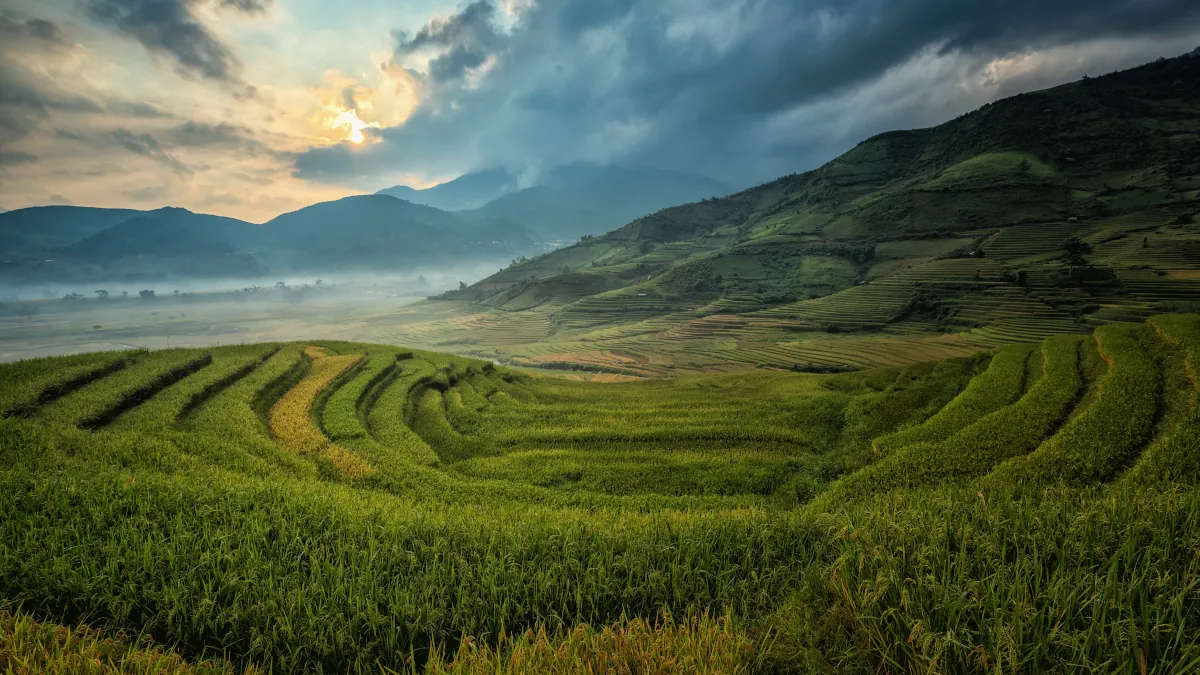 Landscape wallpaper