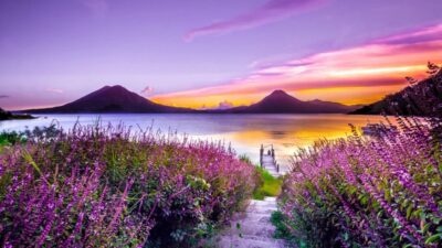Paysage