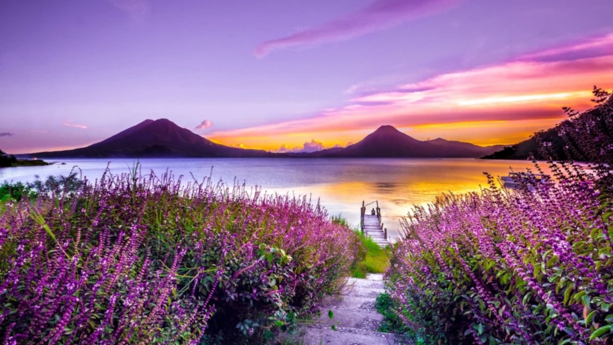 Paysage