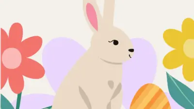 Rabbit illustration