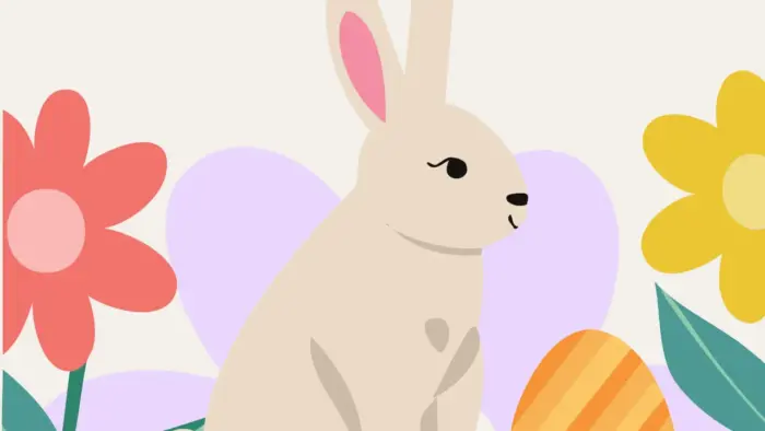 Rabbit illustration