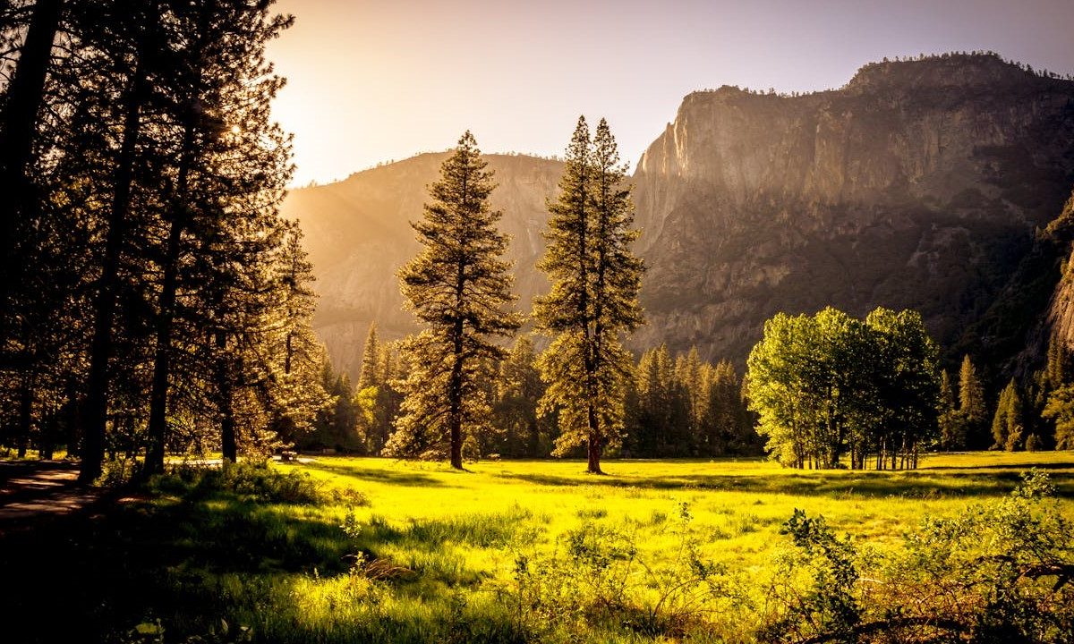 Paysage