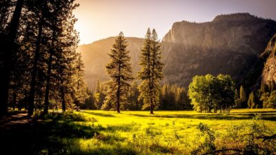 Paysage