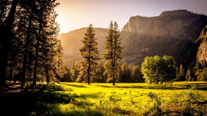 Landscape, sunset