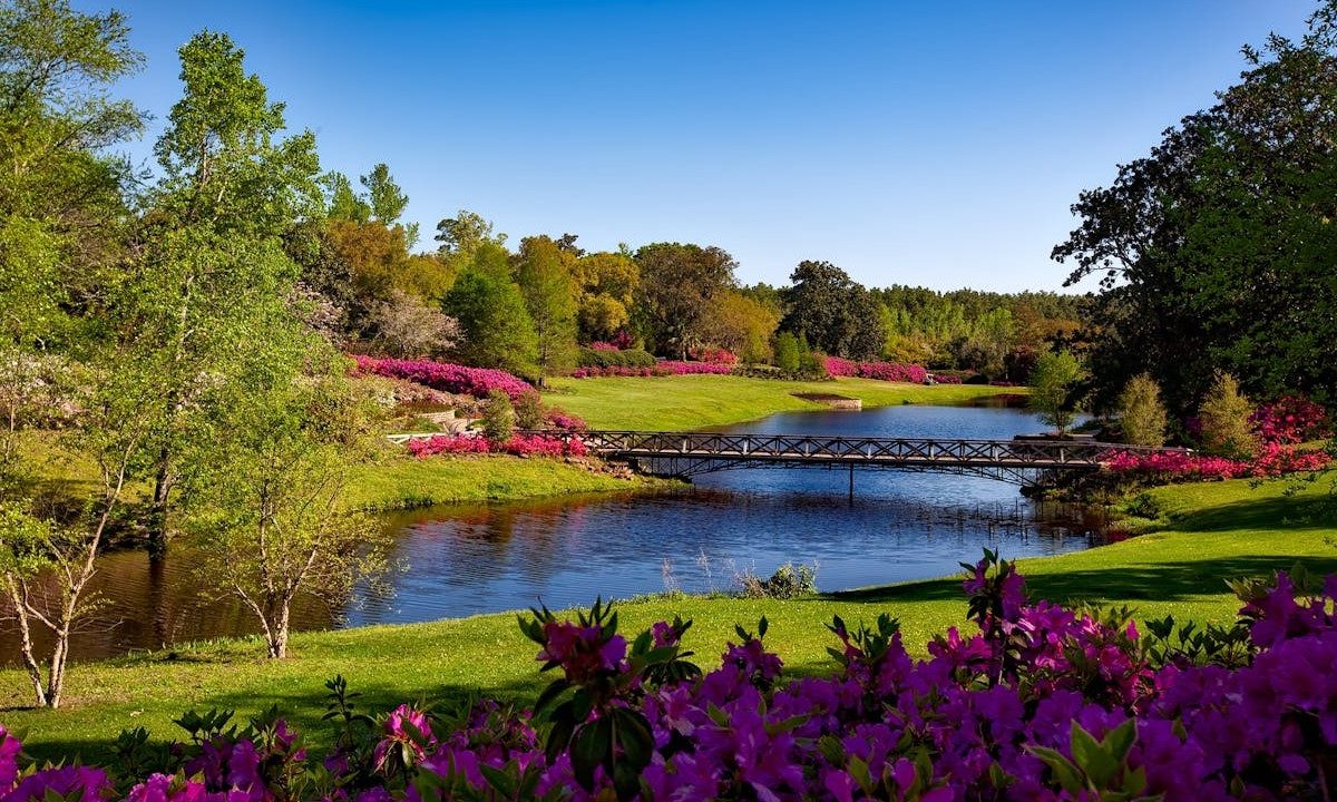 Flower park