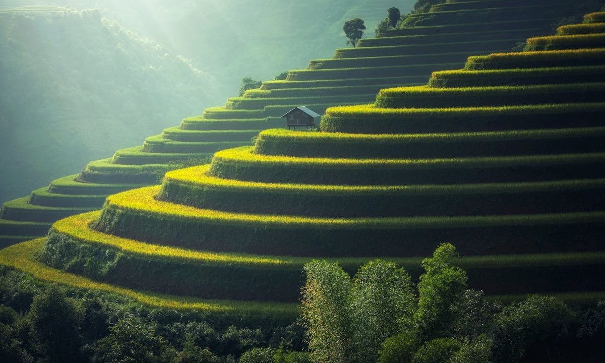 Landscape