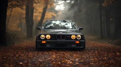 Vintage Bmw
