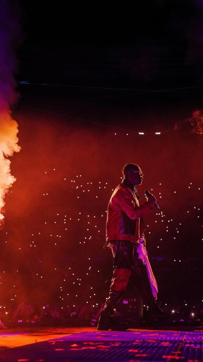 Ninho stade de france