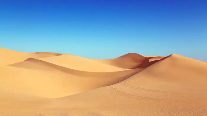 Landscape desert