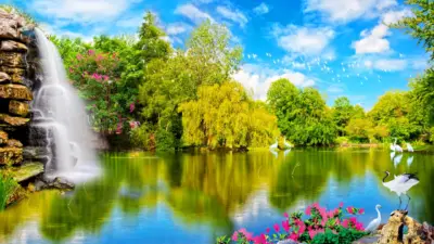Paysage