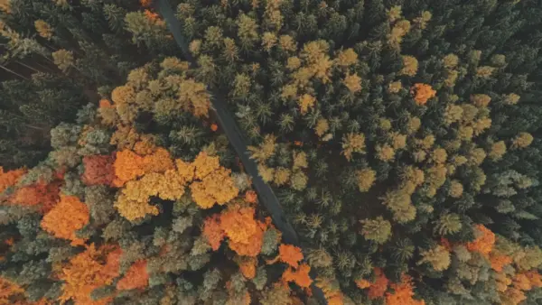 Paysage