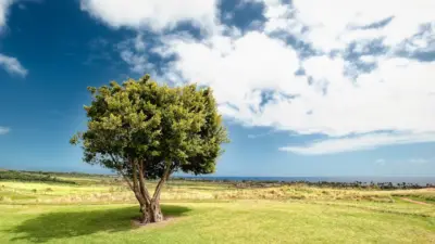 Paysage