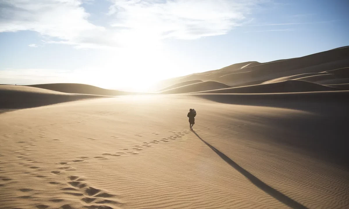 Landscape desert