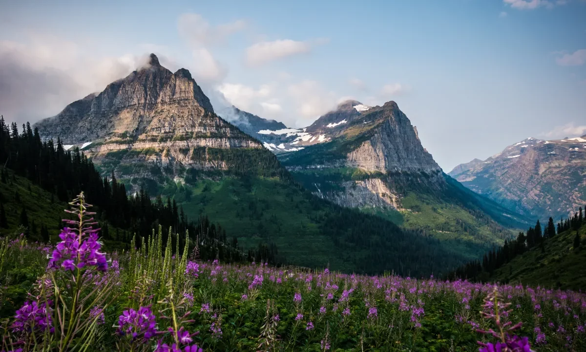 Mountain landscape