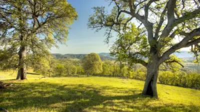 Paysage