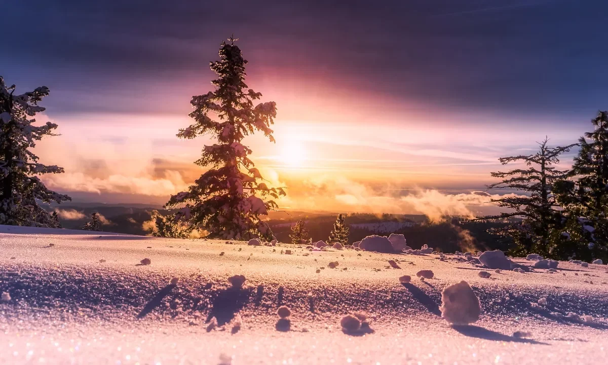 Landscape