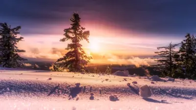 Paysage