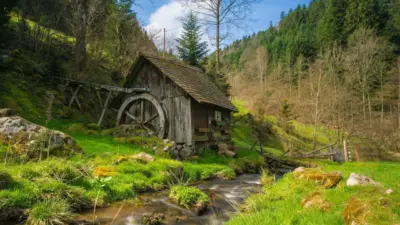Landscape